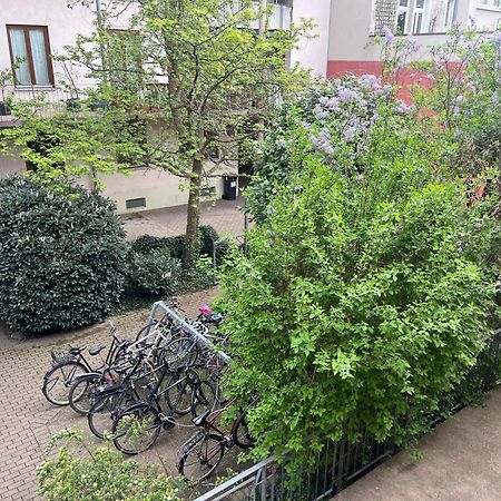 Haus Schoenwald Freiburg im Breisgau Dış mekan fotoğraf