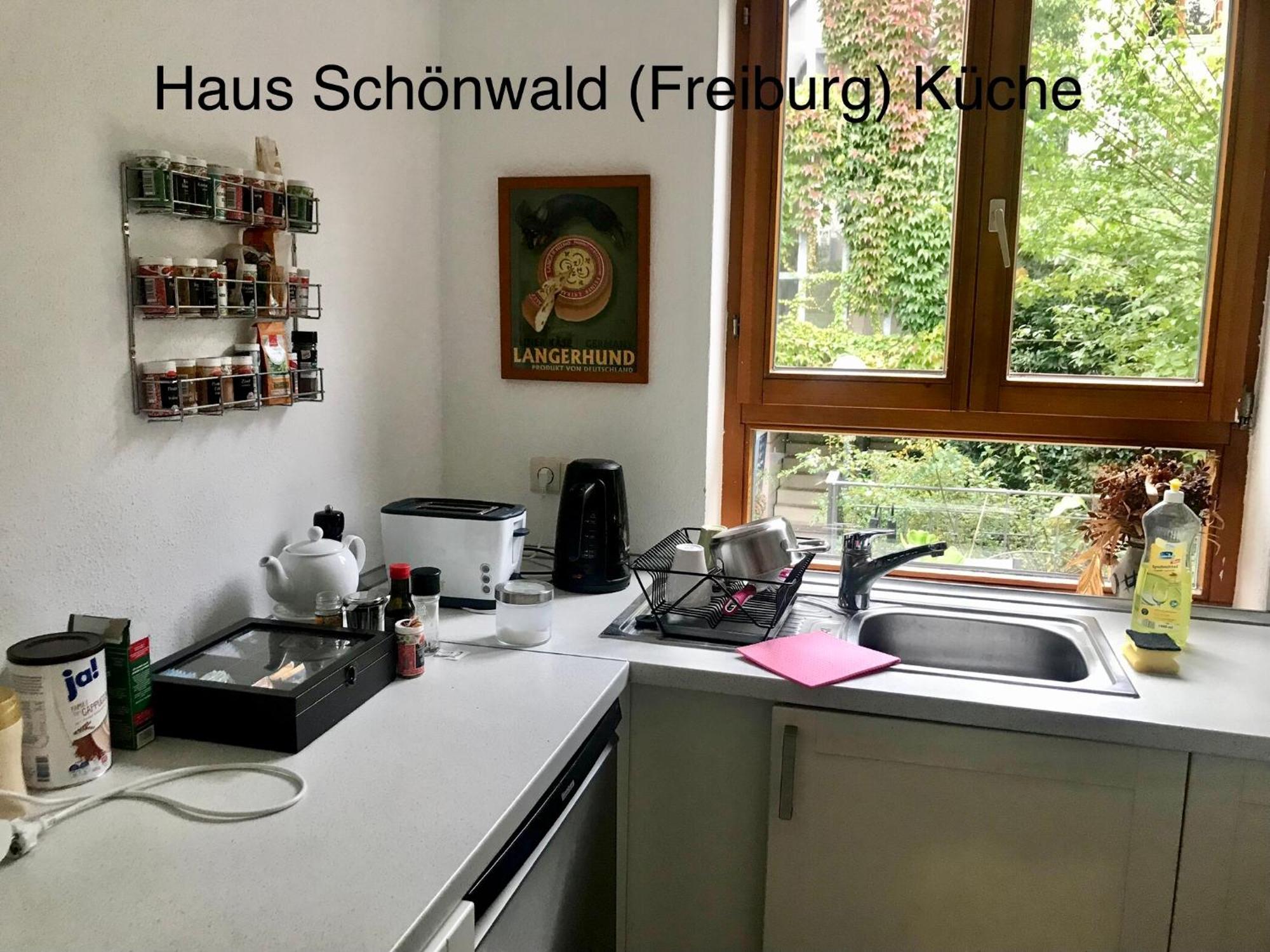 Haus Schoenwald Freiburg im Breisgau Dış mekan fotoğraf