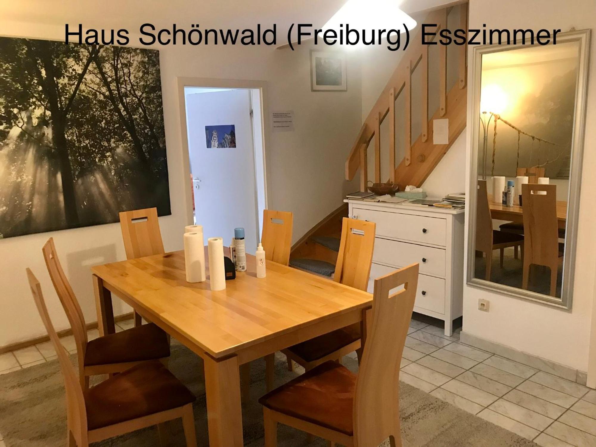 Haus Schoenwald Freiburg im Breisgau Dış mekan fotoğraf