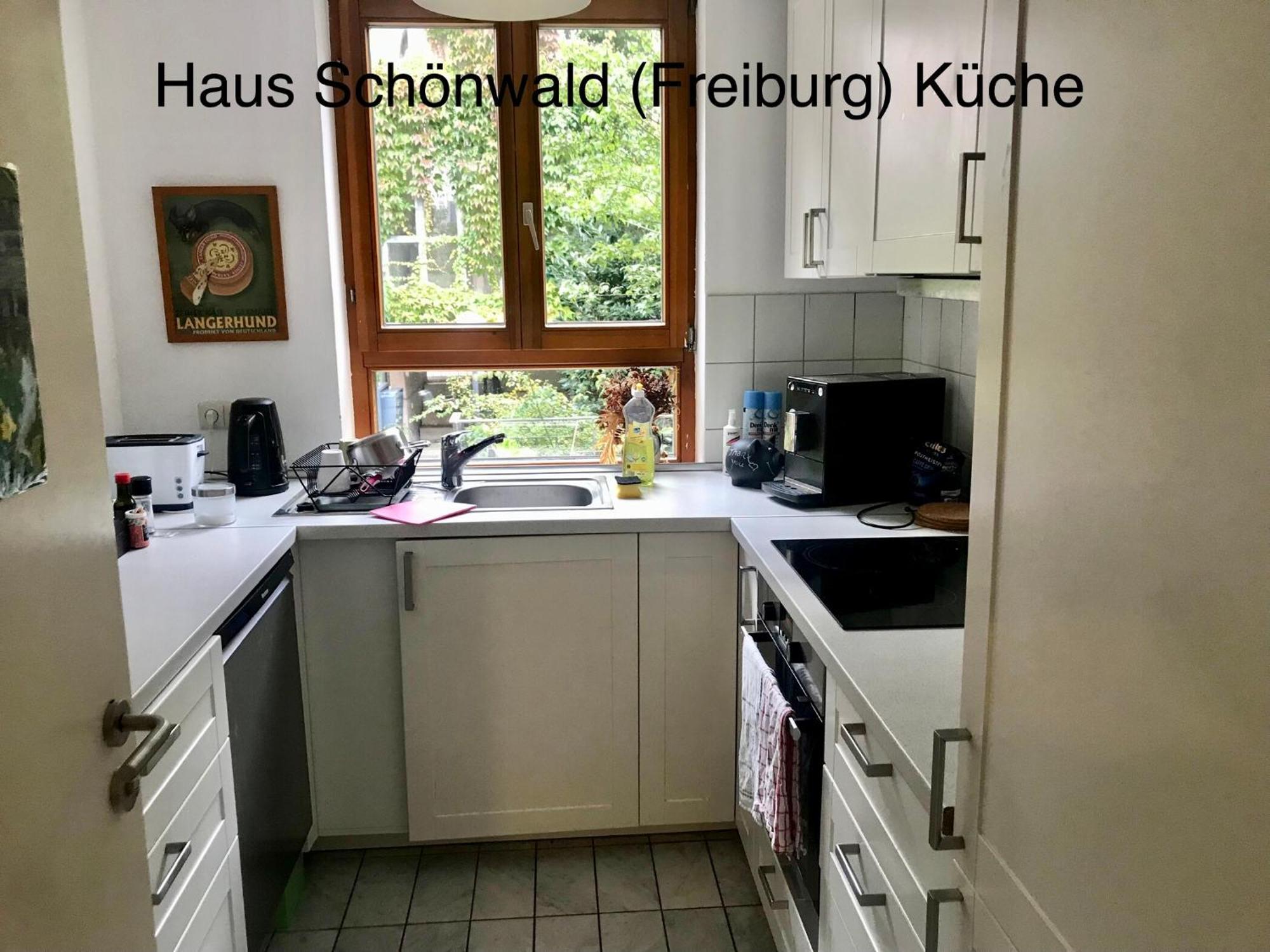 Haus Schoenwald Freiburg im Breisgau Dış mekan fotoğraf