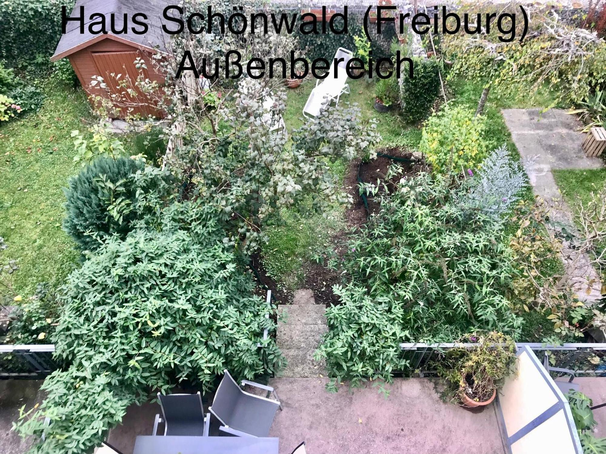 Haus Schoenwald Freiburg im Breisgau Dış mekan fotoğraf
